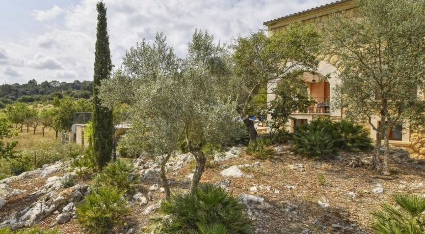 Photo of Pla De Ses Rotes