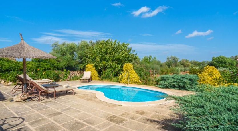 Photo of Los Geranios