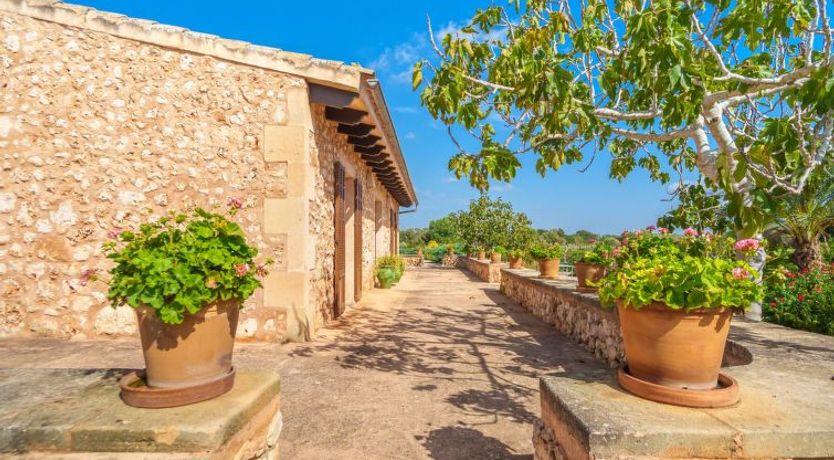 Photo of Los Geranios