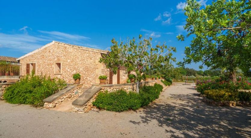 Photo of Los Geranios