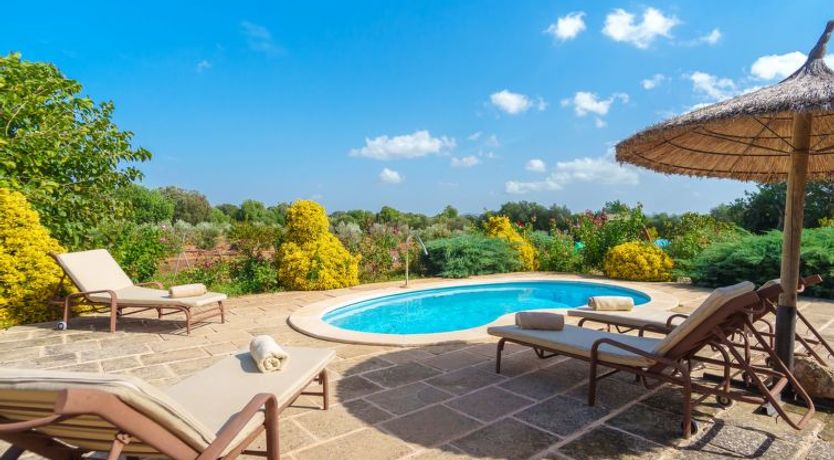 Photo of Los Geranios