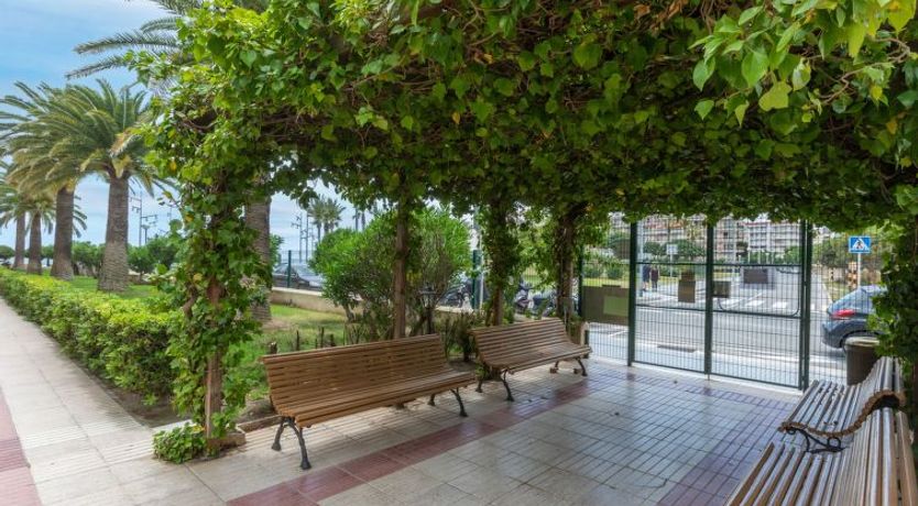 Photo of Paradis Playa