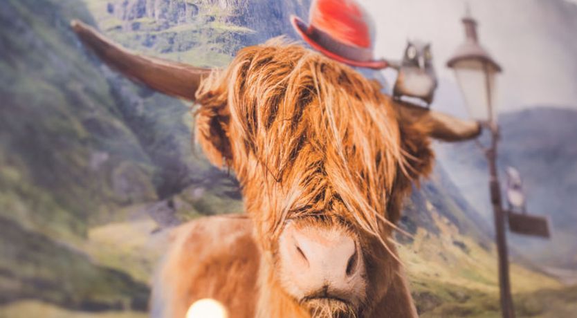 Photo of Lothlorien Lodge 4