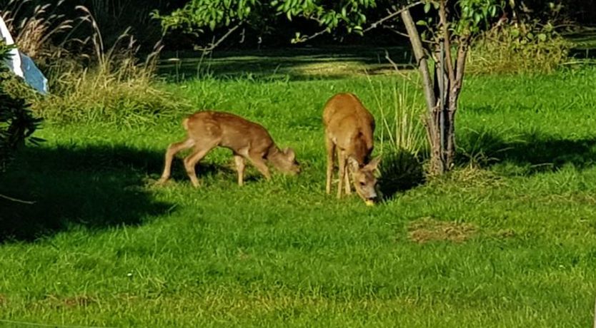 Photo of "Asmine" - 670m from the sea