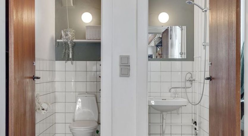 Photo of "Felis" - 200m from the sea