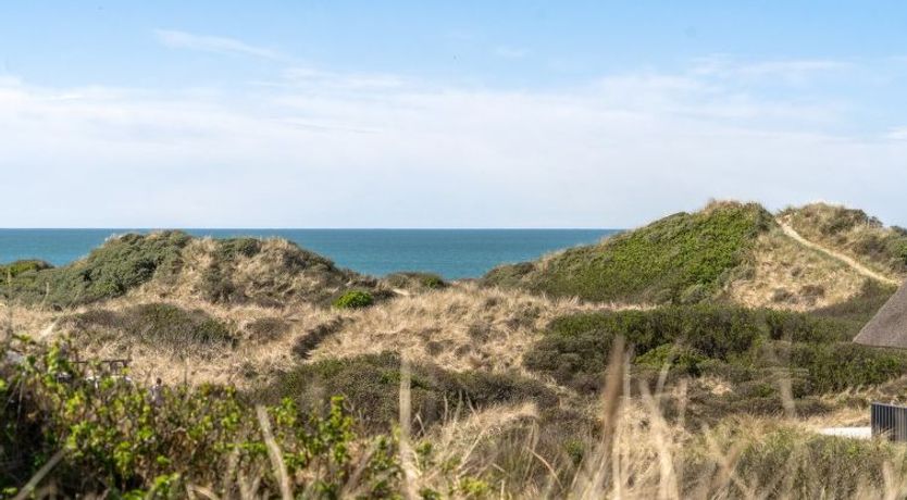 Photo of "Felis" - 200m from the sea