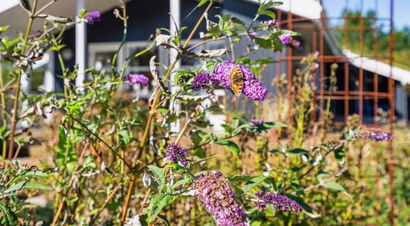 Photo of "Ofelia" - 2.5km from the sea