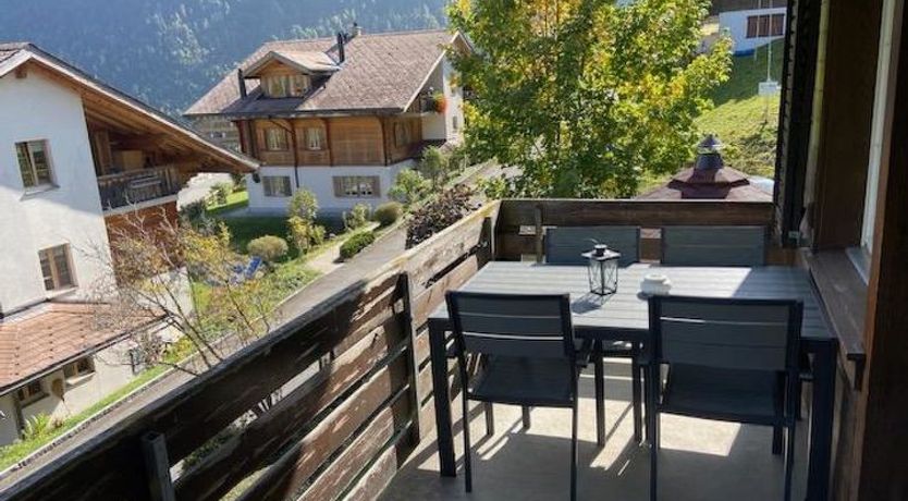 Photo of Hubertus 396 d