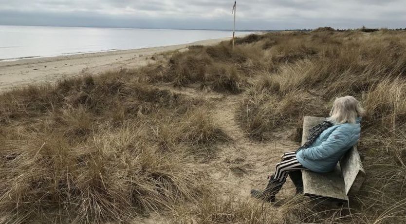 Photo of "Nannah" - 100m from the sea