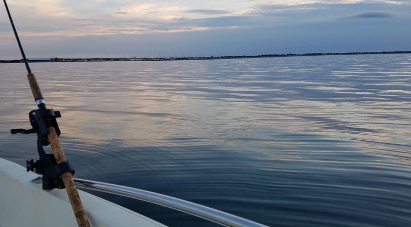 Photo of "Grep" - 800m from the sea