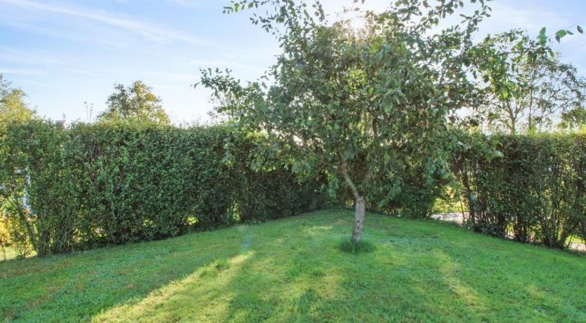 Photo of "Simjanka" - 600m from the sea