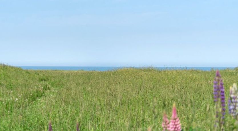 Photo of "Ananda" - 245m from the sea