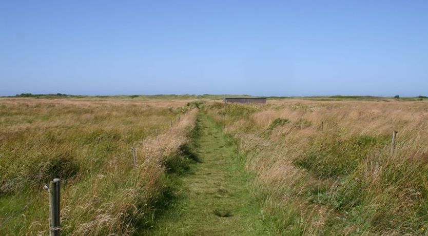 Photo of "Gisa" - 400m from the sea