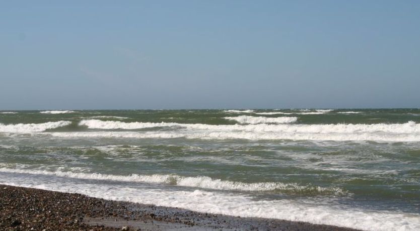 Photo of "Gisa" - 400m from the sea