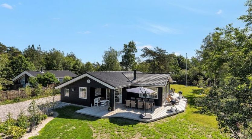 Photo of "Fido" - 300m from the sea