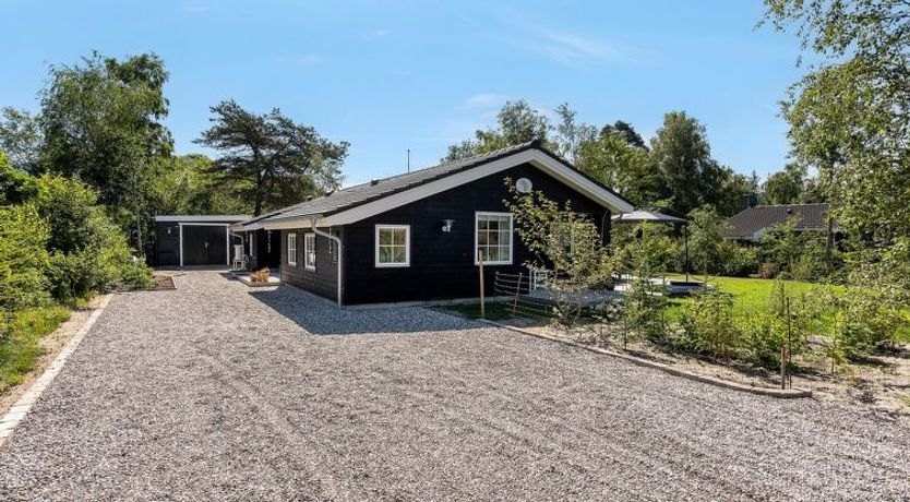 Photo of "Fido" - 300m from the sea