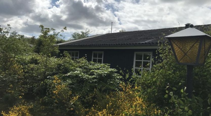 Photo of "Niyazi" - 770m from the sea