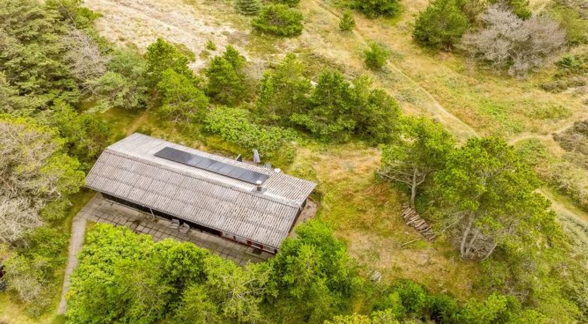 Photo of "Vemund" - 300m from the sea