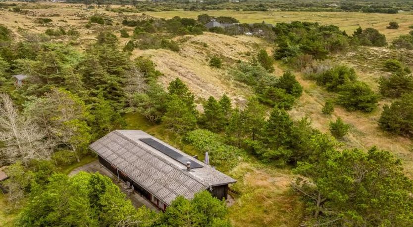 Photo of "Vemund" - 300m from the sea