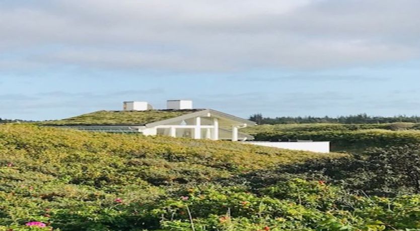 Photo of "Rutha" - 45m from the sea