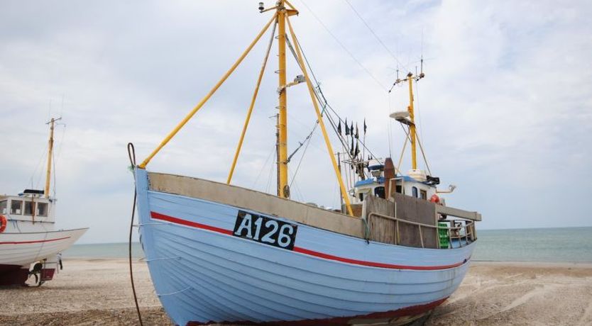 Photo of "Fredsine" - 900m from the sea