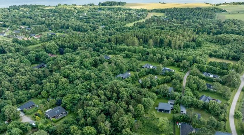 Photo of "Scalli" - 1.5km to the fjord