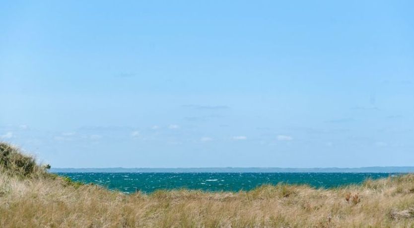 Photo of "Petersen" - 50m from the sea