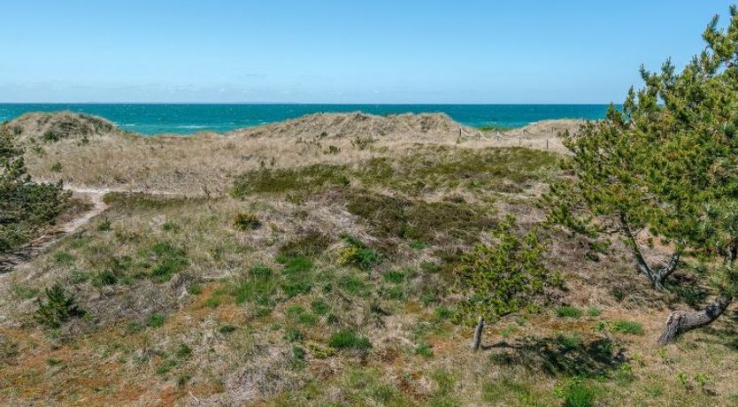 Photo of "Petersen" - 50m from the sea