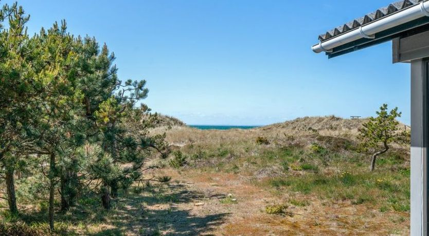 Photo of "Petersen" - 50m from the sea