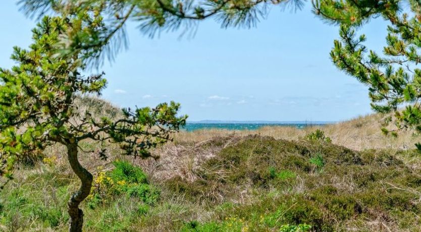 Photo of "Petersen" - 50m from the sea