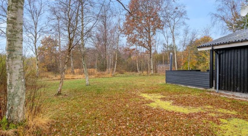 Photo of "Lonneke" - 800m from the sea