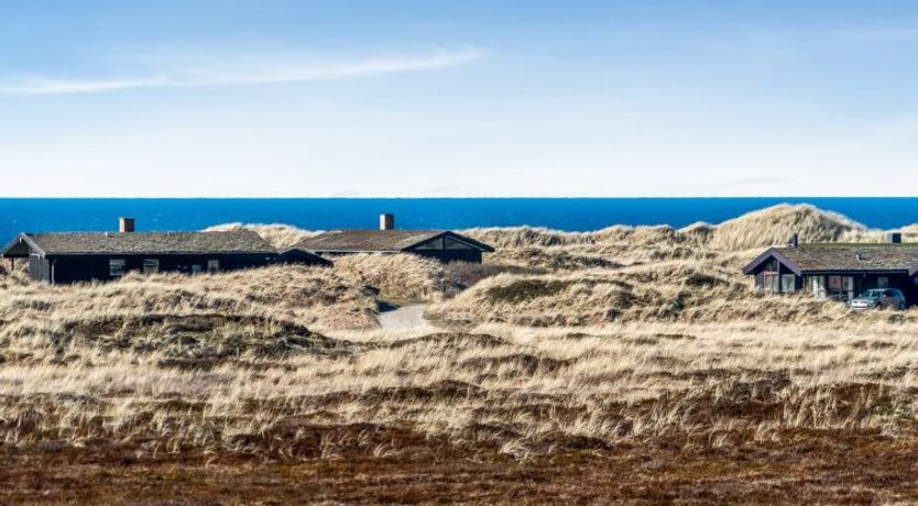 Photo of "Pauli" - 350m from the sea