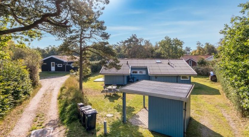 Photo of "Amai" - 100m from the sea