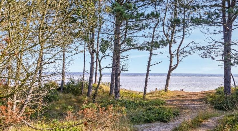 Photo of "Amai" - 100m from the sea