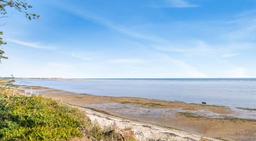 Photo of "Amai" - 100m from the sea