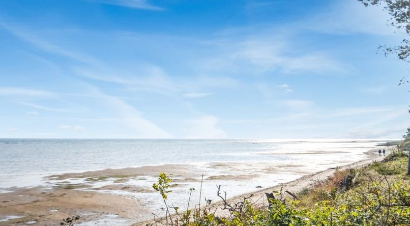 Photo of "Amai" - 100m from the sea