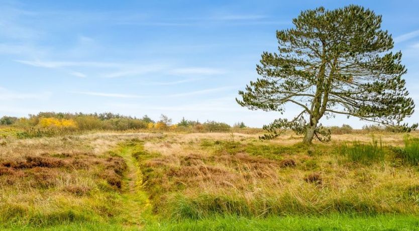 Photo of "Hejdie" - 150m from the sea