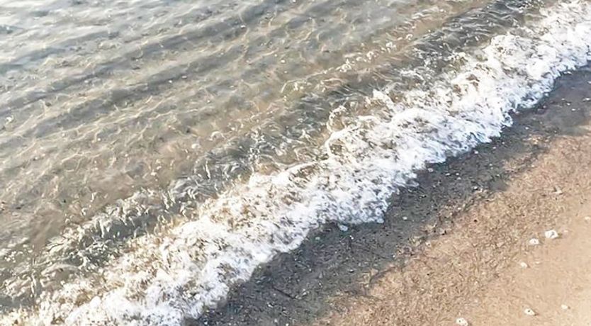 Photo of "Stacie" - 10m from the sea