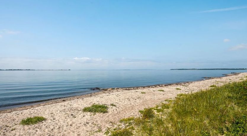 Photo of "Arnwith" - 20m from the sea