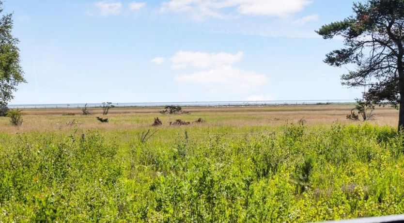 Photo of "Griselda" - 400m from the sea