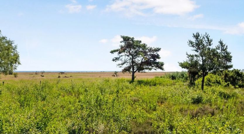 Photo of "Griselda" - 400m from the sea