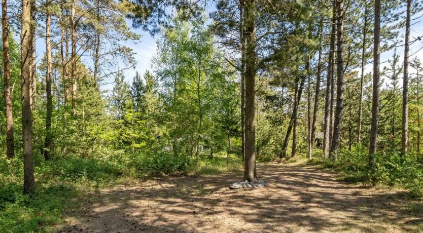 Photo of "Ascen" - 300m from the sea