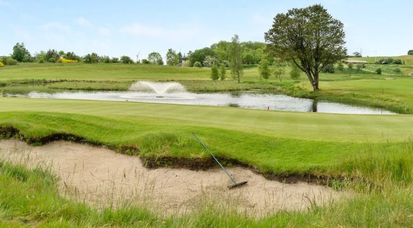 Photo of "Erly" - 18km to the fjord