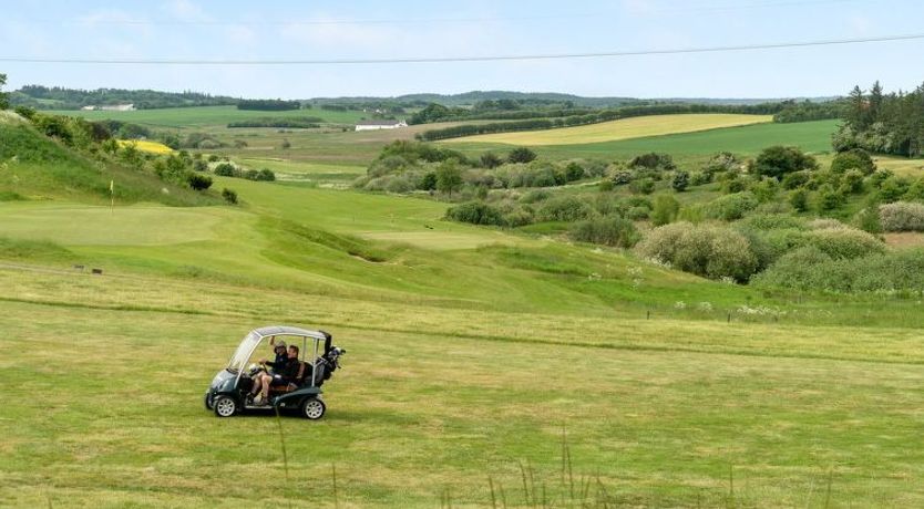 Photo of "Erly" - 18km to the fjord