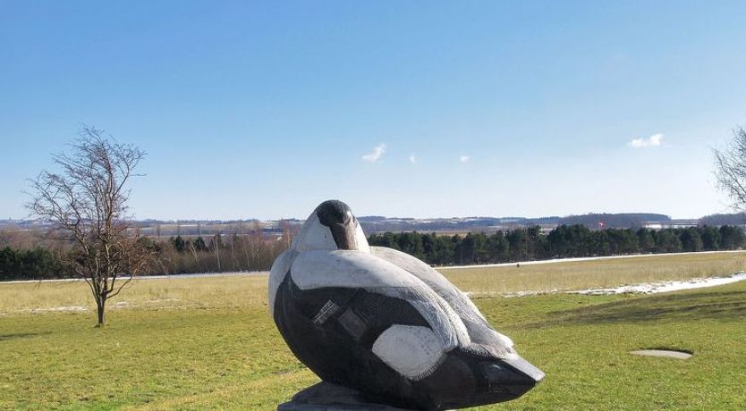 Photo of "Eicke" - 400m from the sea