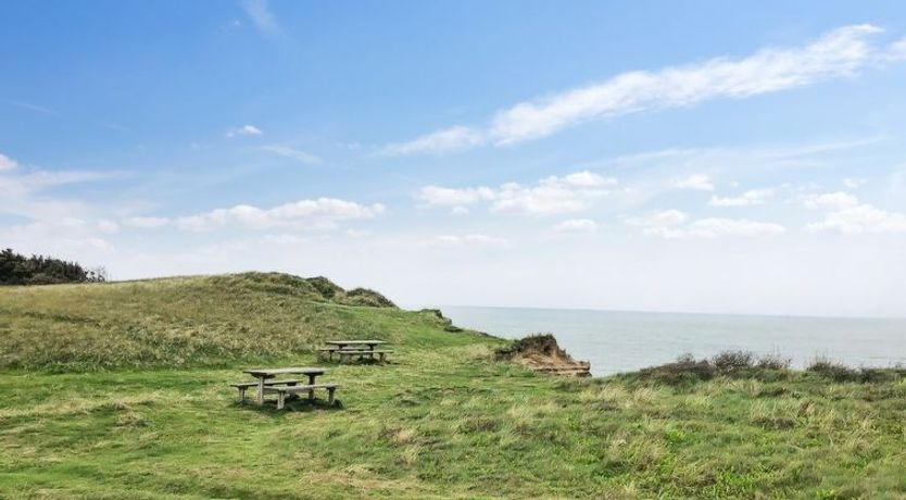 Photo of "Skyler" - 400m from the sea