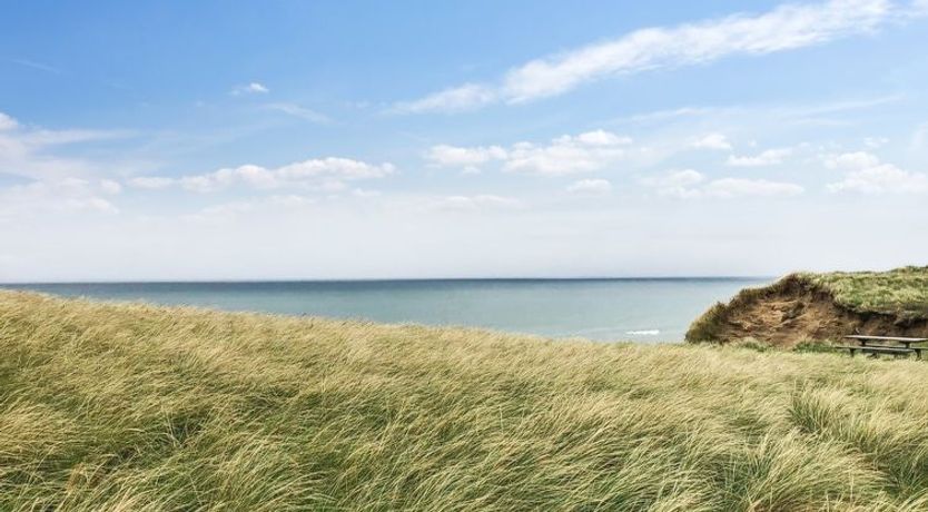 Photo of "Skyler" - 400m from the sea