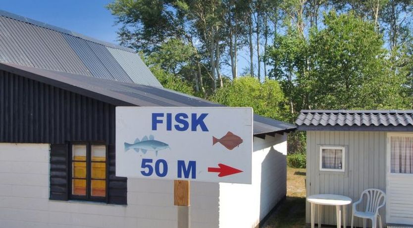 Photo of "Tine" - 600m from the sea