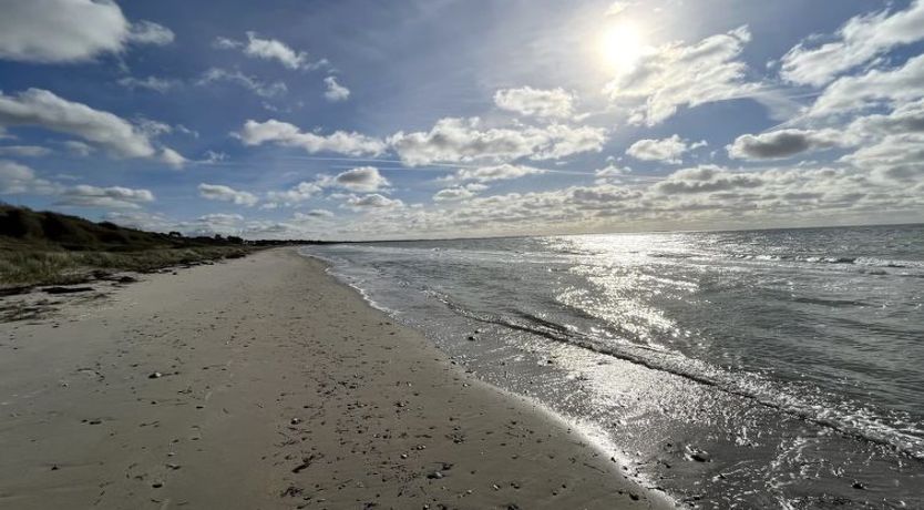 Photo of "Niesina" - 100m from the sea