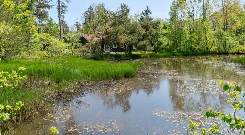 Photo of "Smilla" - 300m from the sea